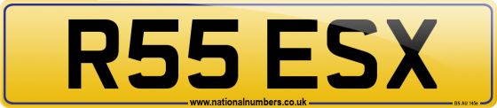 R55 ESX