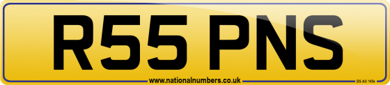 R55 PNS
