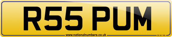 R55 PUM
