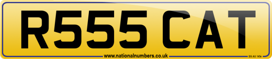 R555 CAT