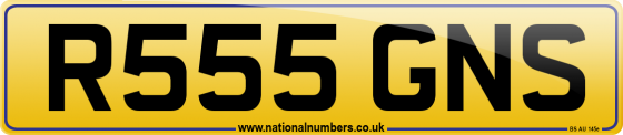 R555 GNS