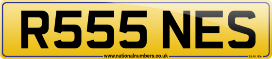 R555 NES