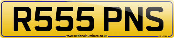 R555 PNS