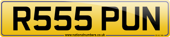 R555 PUN