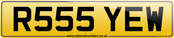 R555 YEW