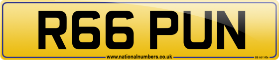 R66 PUN