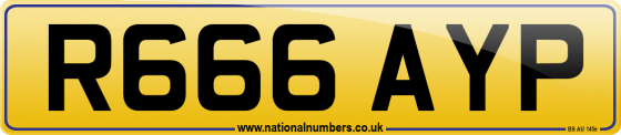 R666 AYP