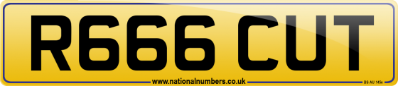 R666 CUT