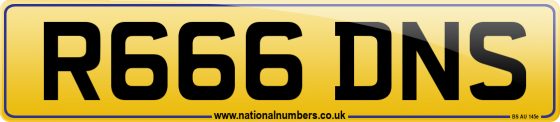 R666 DNS