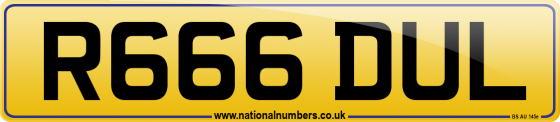 R666 DUL
