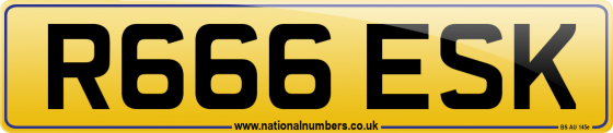 R666 ESK