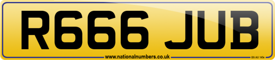 R666 JUB