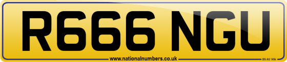 R666 NGU