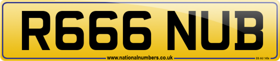 R666 NUB