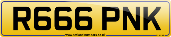 R666 PNK
