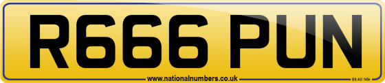 R666 PUN