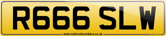 R666 SLW