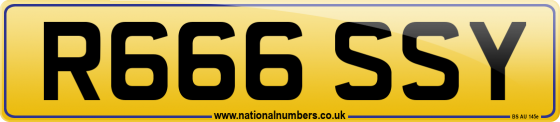 R666 SSY
