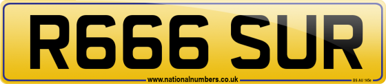 R666 SUR