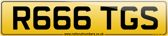 R666 TGS