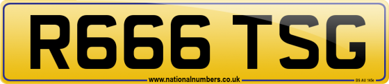 R666 TSG