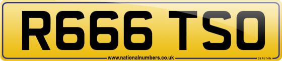 R666 TSO