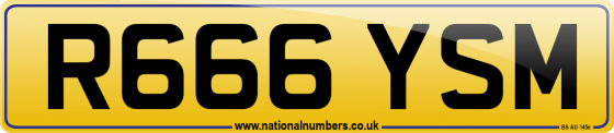 R666 YSM