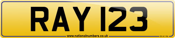 RAY 123