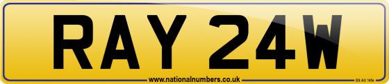 RAY 24W