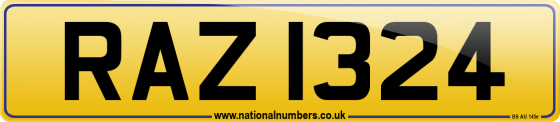 RAZ 1324