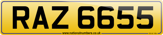 RAZ 6655