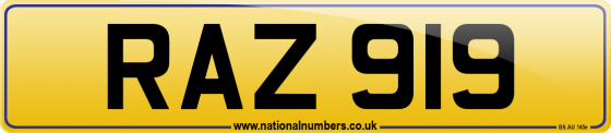 RAZ 919