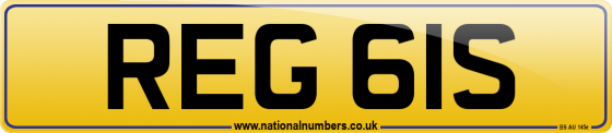 REG 61S