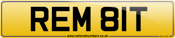 REM 81T