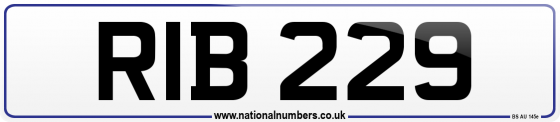 RIB 229