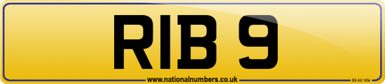 RIB 9
