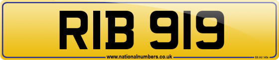 RIB 919