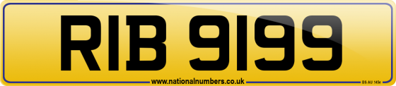 RIB 9199