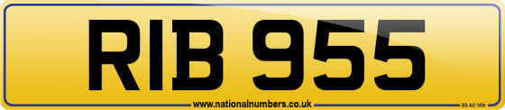 RIB 955