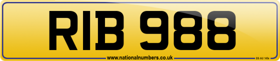 RIB 988