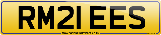 RM21 EES