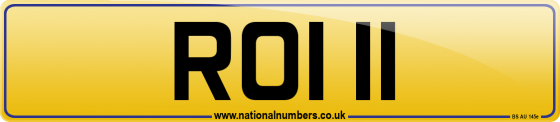 ROI 11
