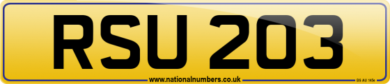 RSU 203