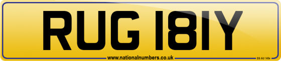 RUG 181Y