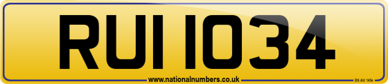 RUI 1034