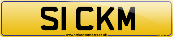 S1 CKM