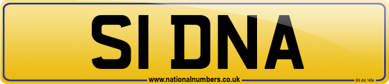 S1 DNA