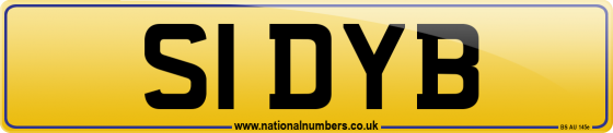 S1 DYB
