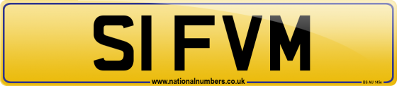 S1 FVM