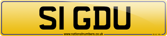 S1 GDU